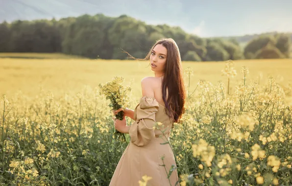 Picture field, summer, girl, flowers, nature, pose, hair, dress