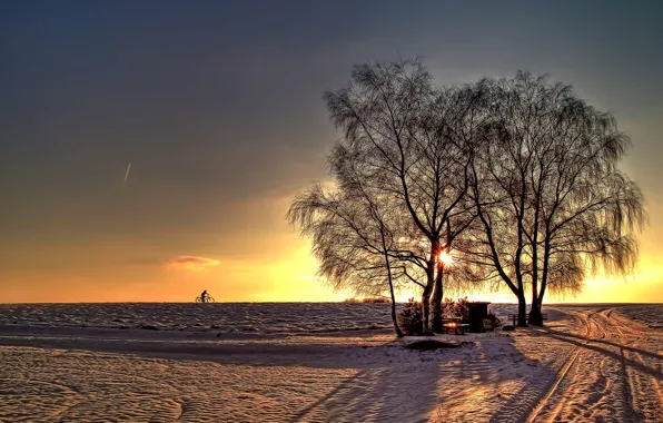 Winter, road, the sun, rays, snow, trees, horizon, cyclist