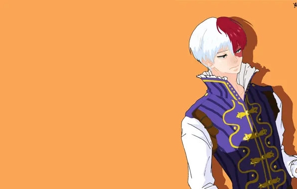 Costume, guy, Boku no Hero Academy, Todoroki Shouto, Todoroki Shoto, My heroic academia