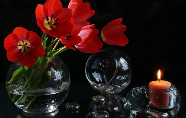 Picture cat, flowers, stones, glass, candle, bouquet, tulips, vase
