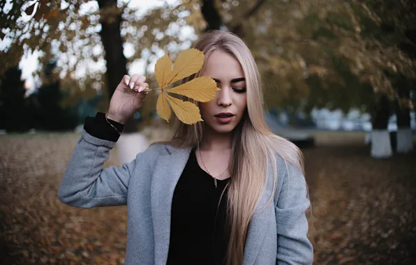 Picture autumn, trees, pose, sheet, hair, Girl, hands, blonde