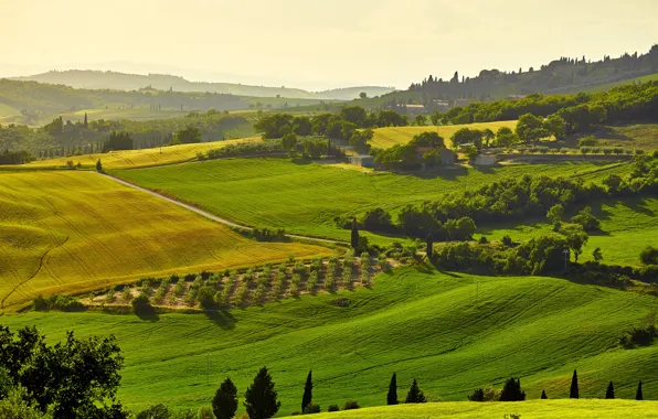 The sun, trees, field, Italy, houses, meadows, Tuscany