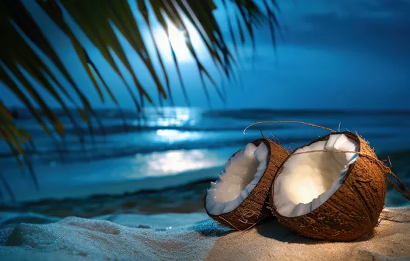Sand, sea, wave, beach, the sky, leaves, light, night
