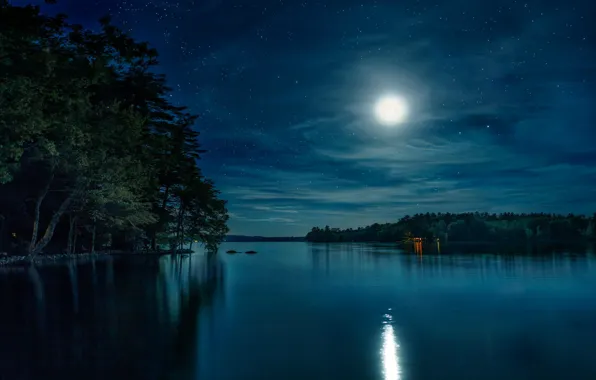 Forest, the sky, stars, night, nature, lake, the moon