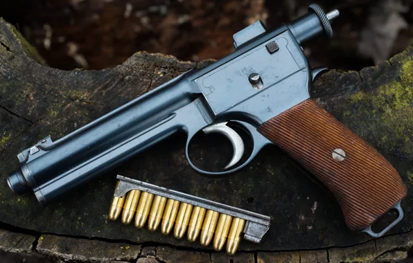 Self-loading pistol, 1910, Steyr