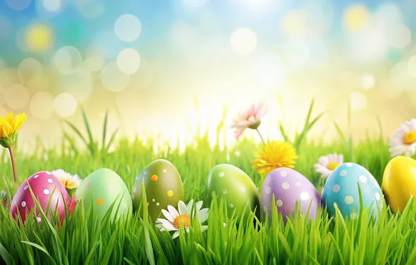 Flowers, eggs, spring, colorful, Easter, happy, flowers, spring