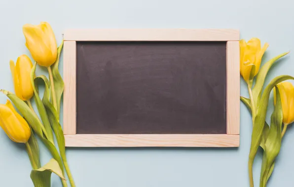 Flowers, yellow, Board, bouquet, spring, tulips, fresh, yellow