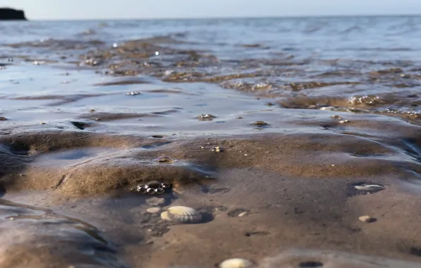 Sea, shore, Azov