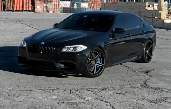 Cracked, black, bmw, BMW, shadow, black, the front, f10
