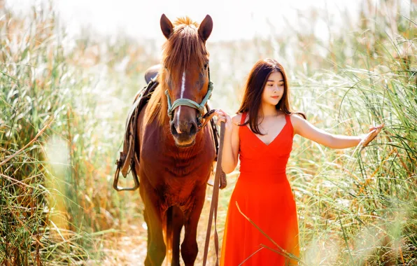 Picture girl, red, horse, dress, Asian, bokeh