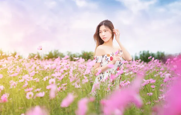 Field, summer, the sky, look, girl, flowers, pose, dress