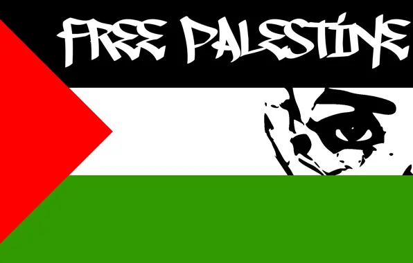 Download wallpaper Flag, Palestine, part of the face, Free Palestine ...