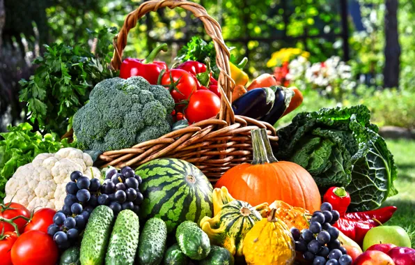 Greens, basket, apples, watermelon, garden, grapes, eggplant, pumpkin