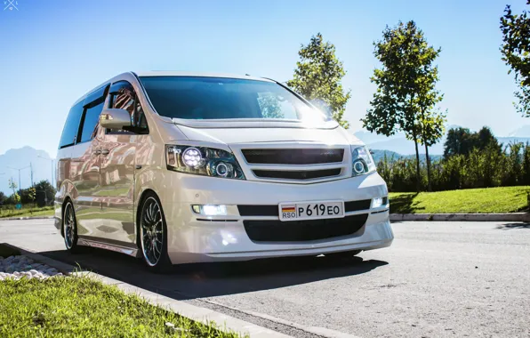 Picture Toyota, Alphard, 2004