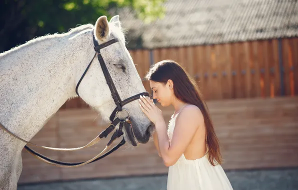 White, girl, light, pose, house, horse, horse, the fence
