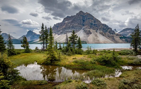 Trees, mountains, lake, Canada, Albert, Banff National Park, Alberta, Bow Lake
