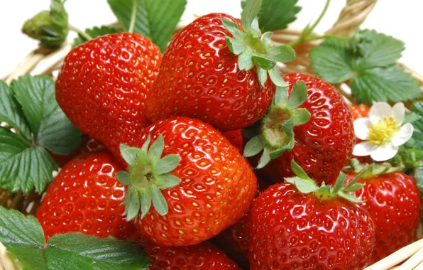 Leaves, berries, basket, food, strawberry