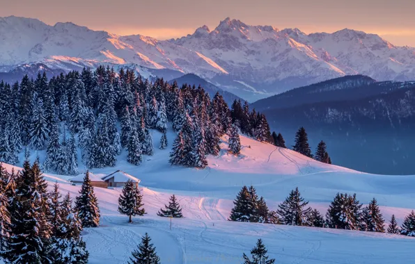 Winter, forest, the sun, snow, trees, sunset, mountains, the evening