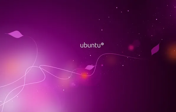 Picture purple, Linux, Patterns, Linux, Ubuntu, Ubuntu