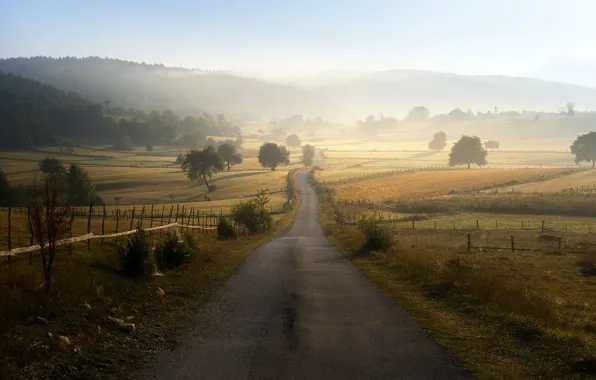 Picture road, trees, field, landscape, nature, morning, hills, mist