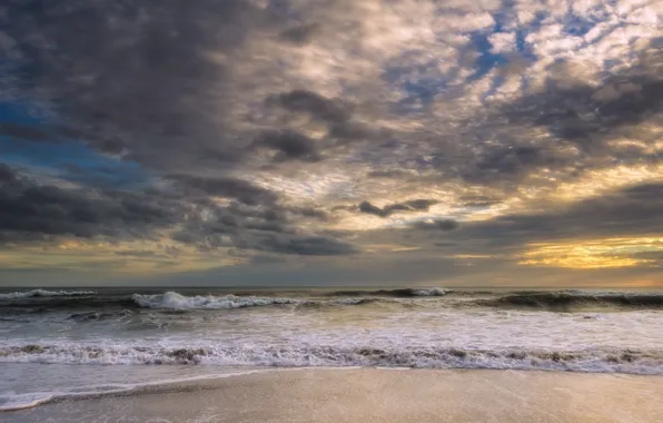 Wave, surf, New Zealand, North Island