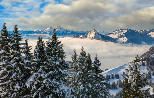 Winter, clouds, trees, landscape, mountains, nature, Switzerland, ate