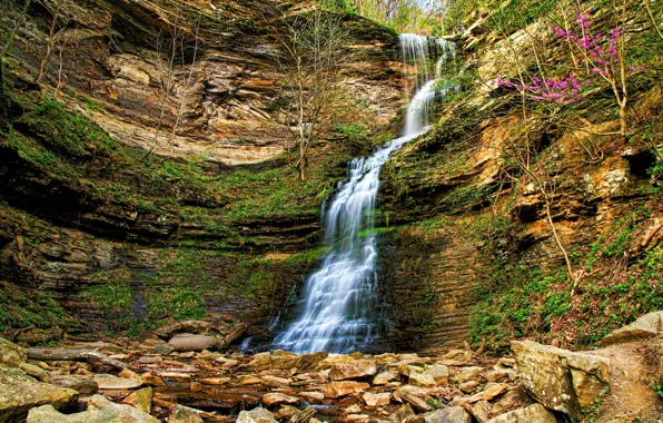 Flowers, rocks, waterfall, stream