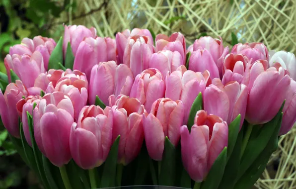 Flowers, bouquet, spring, tulips, straw, pink, buds, bokeh