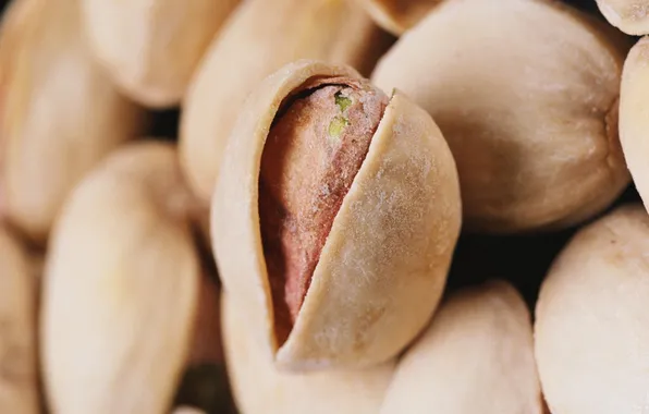 Picture macro, nuts, macro, delicious, pistachios, pistachio