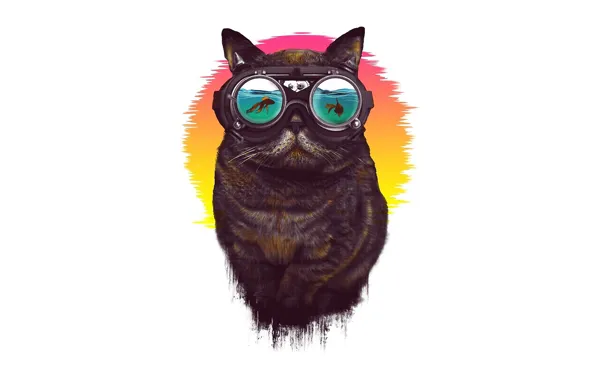 Minimalism, Glasses, Cat, Style, Art, Art, Style, Cat