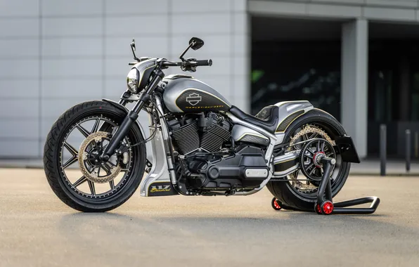 Front, Harley-Davidson, Side View, Customized, Softail Breakout, Thunderbike, Steel Horse, Custombikes