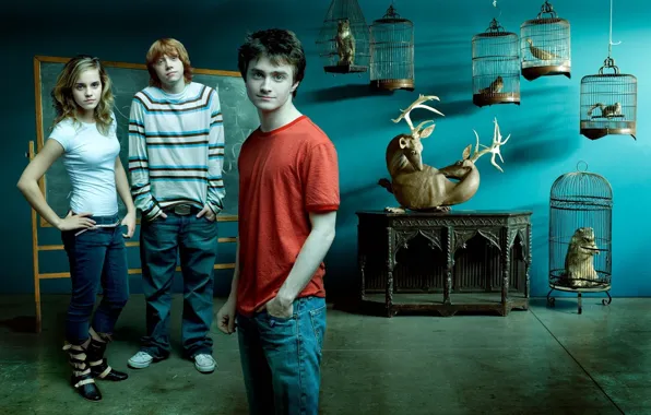 Picture Harry Potter, Emma Watson, Emma Watson, Daniel Radcliffe, Harry Potter, Hermione Granger, Daniel Radcliffe, Rupert …