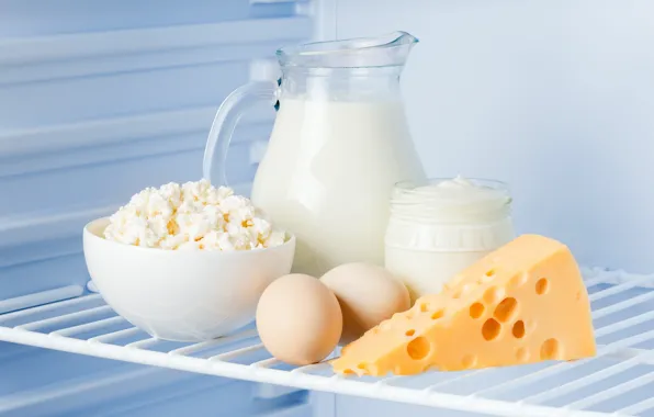 Eggs, cheese, milk, refrigerator, Cup, Bank, shelf, pitcher