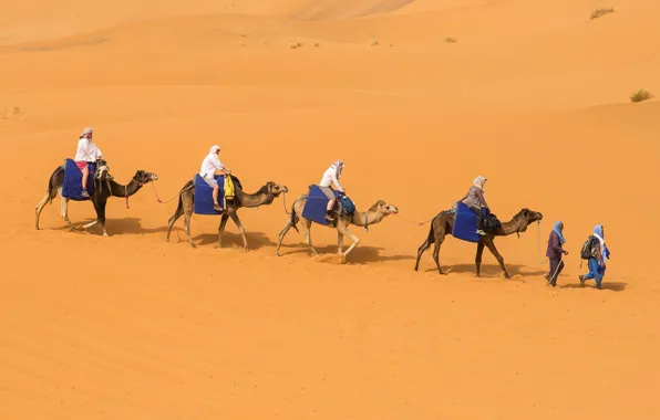 Sand, desert, barkhan, camels, caravan, Bedouin