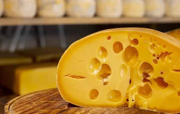 Yellow, food, cheese, shelf, holes, piece, bokeh, cheese