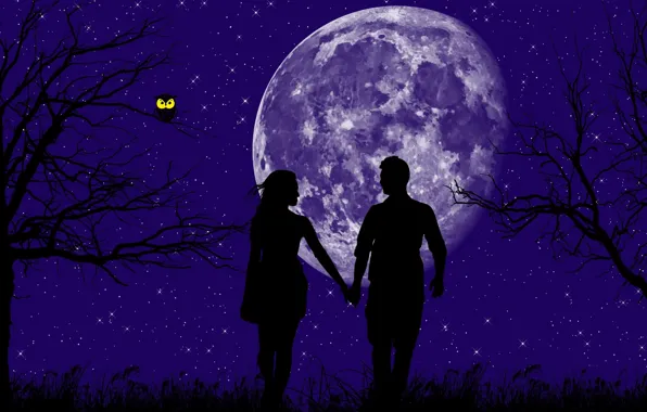 Stars, trees, love, owl, planet, love, magic night, a man and a woman