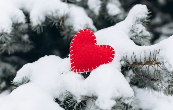 Picture winter, snow, love, heart, tree, red, love, heart