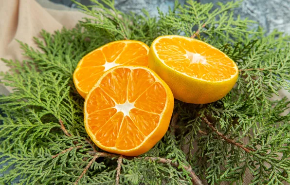 Oranges, New year, needles, burlap, cut in half