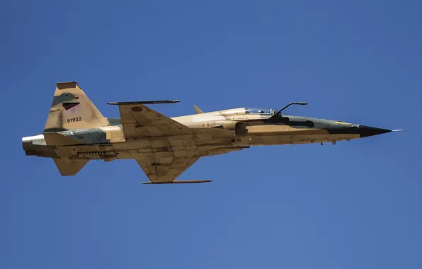 Fighter, Northrop, multipurpose, F-5E Tiger II