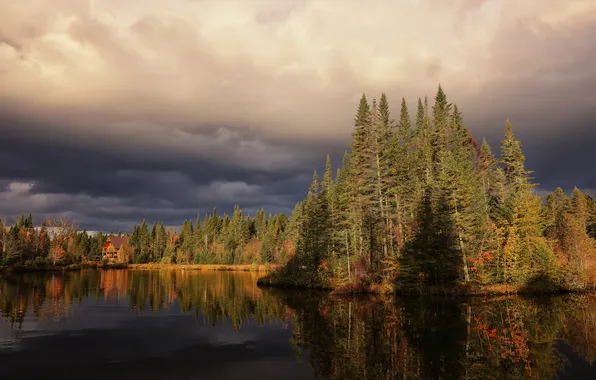 Forest, the sky, light, clouds, lake, reflection, shore, ate