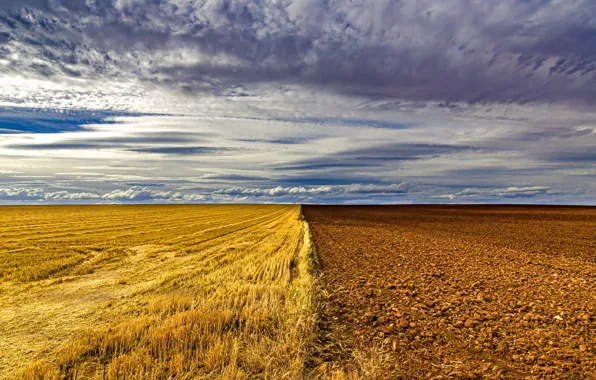 Field, sunset, arable land