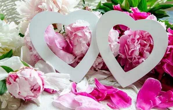 Picture love, flowers, holiday, hearts, peonies