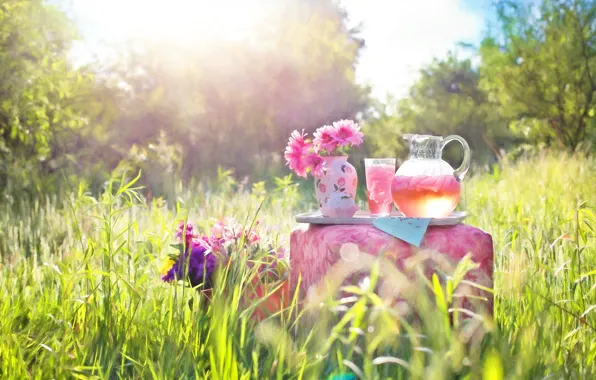 Picture summer, grass, flowers, nature, glass, vase, pitcher, Ottoman