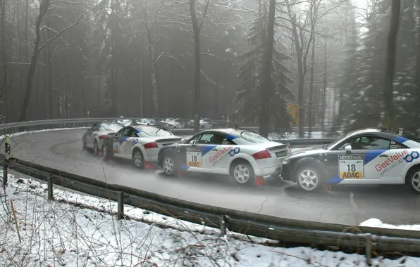 Audi, Road, Forest, Turn, Quattro, Rally, Rally