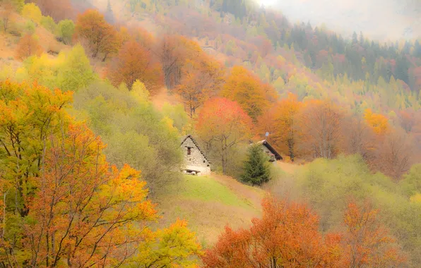 Picture autumn, trees, mountains, house, slope