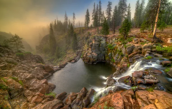 Forest, trees, fog, stones, rocks, waterfall, hdr, CA