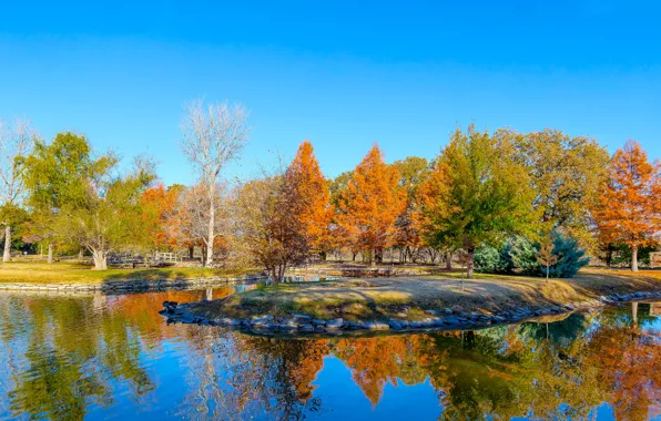 Leaves, trees, pond, USA, Texas, Clark Gardens, Botanical Park, a crimson autumn