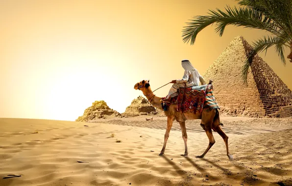 Sand, the sky, the sun, Palma, stones, desert, heat, camel