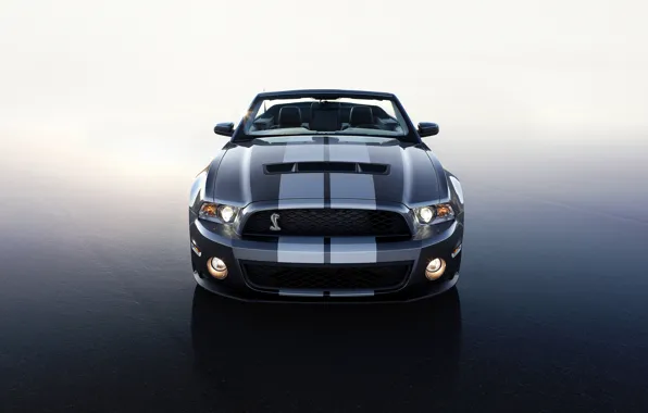 Ford, Shelby, 2010, GT 500
