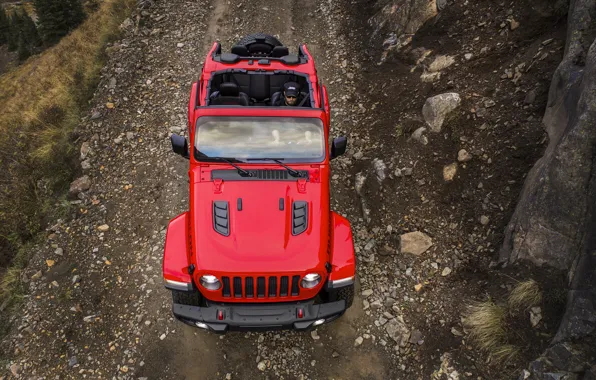 Picture red, the hood, the view from the top, 2018, Jeep, Wrangler Rubicon
